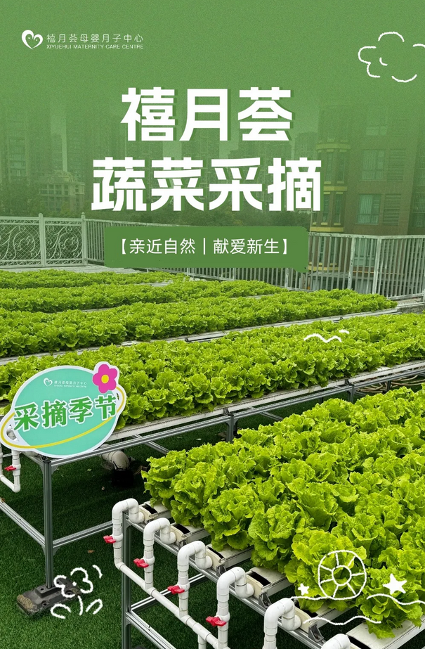 成都月子中心農(nóng)場主|共享菜地，開啟有機(jī)坐月子生活1