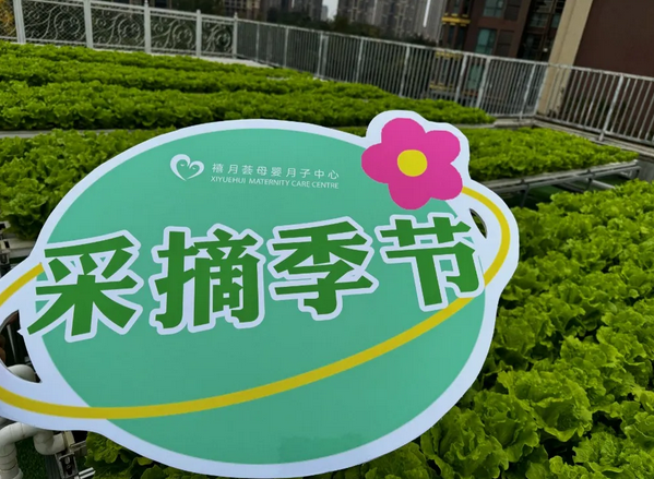 成都月子中心農(nóng)場主|共享菜地，開啟有機(jī)坐月子生活